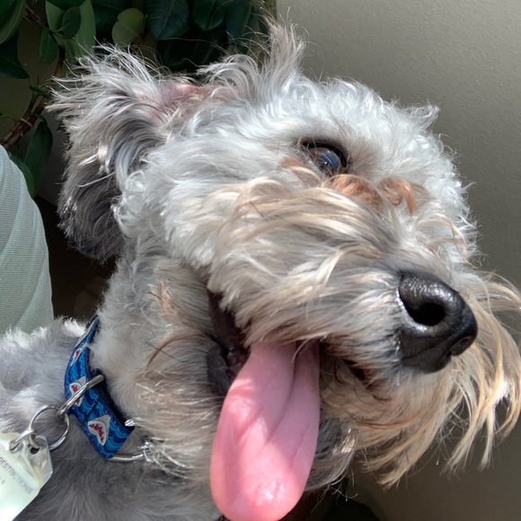 Meet your Posher, Kyla - Picture 1 of 1